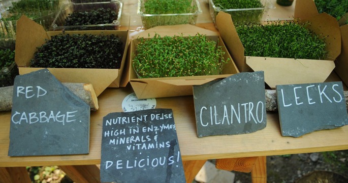 Micro greens from Westminster are slated for maximum enjoyment.
