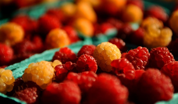 Multi-colored raspberries from High Meadows Farm in Westminster West.